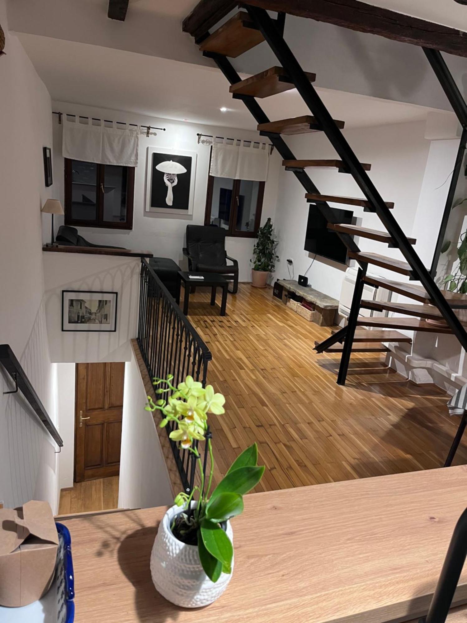 Apartment Capo D'Istria Koper Zewnętrze zdjęcie